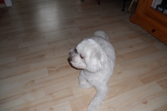 DSCN2345