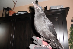 DSCN2458