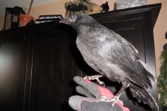 DSCN2459