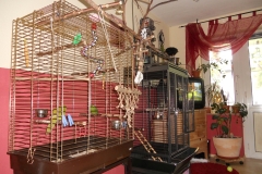 DSCN2487
