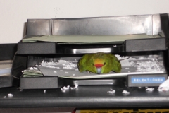 DSCN1072