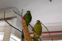 DSCN1251