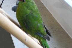 DSCN1316
