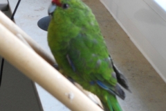 DSCN1317
