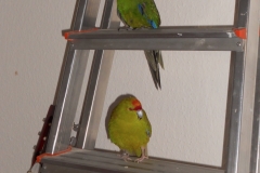 DSCN2007