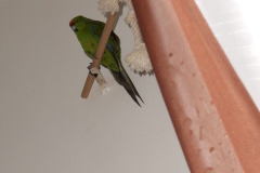 DSCN2051