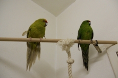 DSCN2057