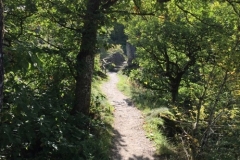IMG_0297