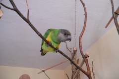 DSCN2773