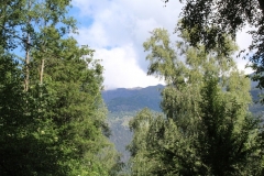 IMG_0090