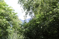 IMG_0091