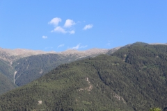 IMG_0160