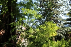 IMG_0400