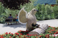 IMG_0642