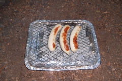 DSCN2809