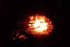 DSCN2817