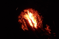 DSCN2819