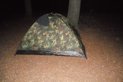 DSCN2822
